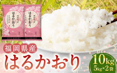 [令和7年産]はるかおり 精米 10kg [2025年10月上旬発送開始] / ふるさと納税限定 ふるさと納税限定品 お米 米 白米 食品 ご飯 飯 九州 福岡県 香春町
