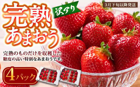 [訳あり]完熟あまおう 4パック 合計約1.1kg [2026年3月下旬出荷予定]いちご 苺 イチゴ 果物 フルーツ