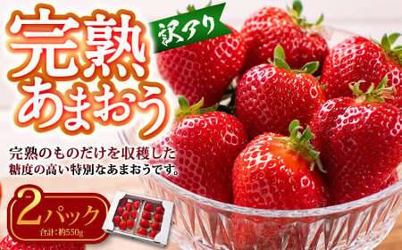 [訳あり] 完熟あまおう 2パック 約275g×2パック 合計約550g [2026年2月上旬〜3月上旬までに出荷予定]いちご 苺 訳あり 家庭用 果物 フルーツ