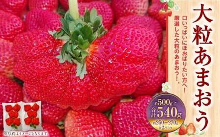 大粒あまおう 2パック 合計500〜540g [2026年2月上旬〜4月上旬発送予定] あまおう 苺 いちご 果物 果実 フルーツ 大粒 国産 九州 福岡県 香春町 冷蔵
