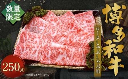 [数量限定博多和牛] ロース しゃぶしゃぶ 約250g 博多和牛 和牛 国産牛 黒毛和牛 黒毛和種 牛肉 ロース肉 リブロース サーロイン お肉 肉 九州 福岡県 香春町 冷凍