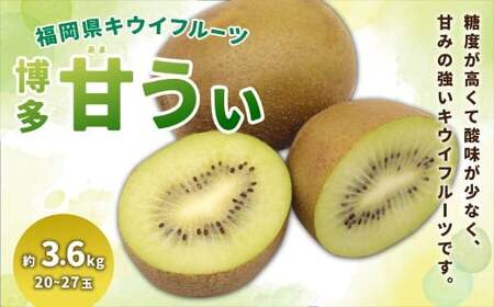 福岡県ブランド キウイフルーツ 「博多甘うぃ」 化粧箱 大玉9玉 約1.4kg [2025年11月上旬〜11月下旬発送予定] キウイ 果物 フルーツ 九州 福岡県 香春町 冷蔵