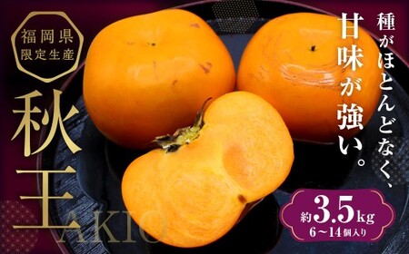 ブランド柿 「秋王」 約3.5kg [2025年10月下旬〜11月下旬発送予定] 柿 果物 フルーツ 九州 福岡県 香春町 冷蔵