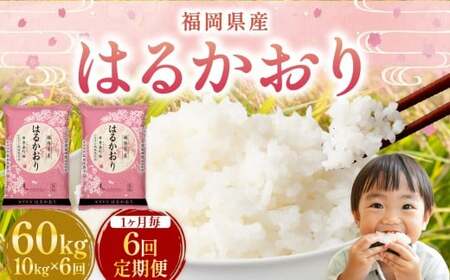 �y1������6�����ցz �͂邩���� 10kg �v60kg �^ �� �R�� ���� ���C�X ���� ���͂� �� �H�i ���� ����� �퉷 ������ ���t��