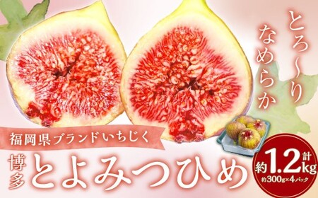 福岡県ブランド いちじく 「博多とよみつひめ」 約300g×4パック (計約1.2kg) [2026年8月下旬〜2026年10月下旬発送予定] とよみつひめ 無花果 イチジク 果物 フルーツ 九州 福岡県 香春町 冷蔵