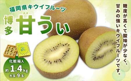 福岡県ブランド キウイフルーツ 「博多甘うぃ」 化粧箱 大玉9玉 約1.4kg [2026年11月上旬〜11月下旬発送予定] キウイ 果物 フルーツ 九州 福岡県 香春町 冷蔵