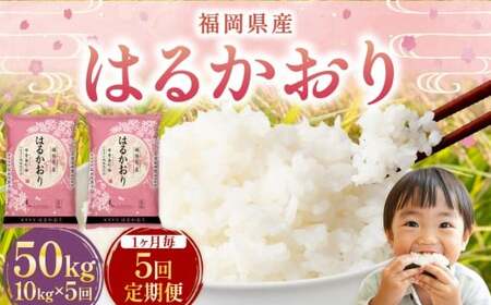 【1ヶ月毎5回定期便】 はるかおり 10kg 計50kg ／ 米 コメ お米 ライス ご飯 ごはん 飯 食品 精米 定期便 常温 福岡県 香春町