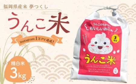 うんこ米 精白米 3kg 福岡県産米 夢つくし 無洗米  お米