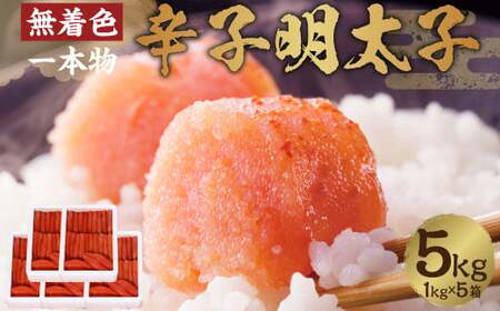 ܂邫Y F hqq { 5kgi1kg×5j