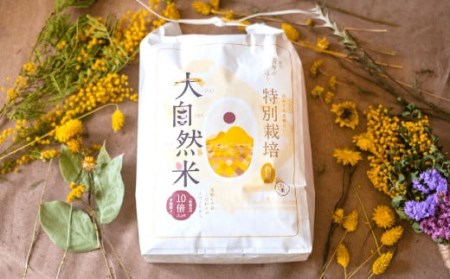 福岡県香春町産 夢つくし 大自然米 無洗米 計10kg(5kg×2個)