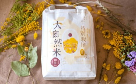 福岡県香春町産 夢つくし 大自然米 無洗米 計25kg(10kg×2個 5kg×1個)