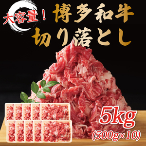 yӂ邳Ɣ[Łz󂠂Ia؂藎Ƃ 5kg(500g×10p) [a9446] Meat Plus zsFyԗizYc ӂ邳Ɣ[