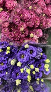 タカセ花園 ヒロト厳選!季節の切り花セット[a0784]タカセ花園 返礼品 添田町 ふるさと納税