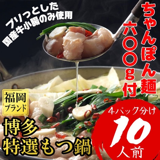 10人前!博多特選もつ鍋(プリプリの国産牛小腸のみ使用)(4パック小分けが便利)[a0802][炭焼豚丼と塩ホルモンの店 西北の杜][返礼品]添田町 ふるさと納税