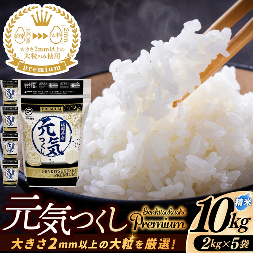【ふるさと納税】福岡県産 元気つくし プレミアム 精米 2kg×5P（計10kg） 配送日時指定不可 2週間～2ヶ月に発送 [a0836] ※配送不可：離島【返礼品】添田町 ふるさと納税