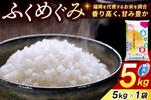 [無洗米]訳あり 5kg [a0825] 精米 5kg(5キロ×1) ブレンド米