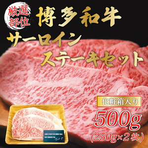 yӂ邳Ɣ[ŁzaT[CXe[LZbg 500g(250g×2) [a9079] Meat Plus zsFyԗizYc ӂ邳Ɣ[