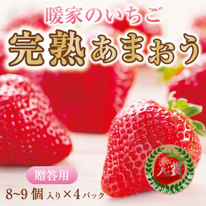 [ふるさと納税]暖家のいちご 完熟あまおう 贈答用4パック [a9405] 社会福祉法人猪位金福祉会 暖家の丘 ※配送不可:北海道・沖縄・離島[返礼品]添田町 ふるさと納税