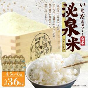 【令和7年産】いとだ泌泉米 白米 36kg (4.5kg×8袋)