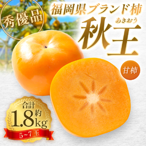 福岡県ブランド柿 秋王 秀優品 5〜7玉 約1.8kg 種無し [2024年11月上旬-12月上旬発送予定]