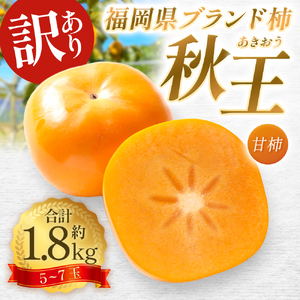 [訳あり品]福岡県ブランド柿 秋王 訳あり品 5〜7玉 約1.8kg 種無し [2024年11月上旬発送予定]