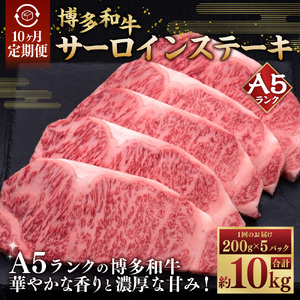 y10AցzA5 aT[CXe[L 200g×5  