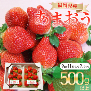 福岡県産 あまおう 2パック 合計500g以上 いちご 苺【2024年12月-2025年3月下旬発送】