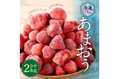 [数量限定!糸田町感謝キャンペーン]「いちごファームきらら」の冷凍あまおう2kg