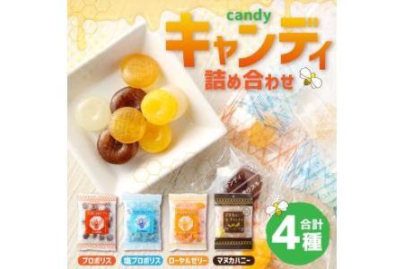 キャンディ 詰め合わせ 4種 飴 お菓子 計:372g