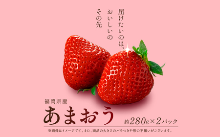 【1月上旬より順次出荷】福岡県産 あまおう 約280g×2パック 約560g 冷蔵 いちご 苺 あまおう いちご 苺 あまおう いちご 苺 あまおう いちご 苺 あまおう いちご 苺 あまおう いちご 苺 あまおう いちご 苺 あまおう いちご 苺 あまおう いちご 苺 あまおう いちご 苺 あまおう いちご 苺 あまおう いちご 苺 あまおう いちご 苺 あまおう いちご 苺 あまおう いちご 苺 あまおう いちご 苺 あまおう いちご 苺 あまおう いちご 苺 あまおう いちご 苺 あまおう いちご 苺 あまおう いちご 苺 あまおう いちご 苺 あまおう いちご 苺 あまおう いちご 苺 あまおう いちご 苺 あまおう いちご 苺 あまおう いちご 苺 あまおう いちご 苺 あまおう いちご 苺 あまおう いちご 苺 あまおう いちご 苺 あまおう いちご 苺 あまおう いちご 苺 あまおう いちご 苺 あまおう いちご 苺 あまおう いちご 苺 あまおう いちご 苺 あまおう いちご 苺 あまおう いちご 苺 あまおう いちご 苺 あまおう いちご 苺 あまおう いちご 苺 あまおう いちご 苺 あまおう いちご 苺 あまおう いちご 苺 あまおう いちご 苺 あまおう いちご 苺 あまおう いちご 苺 あまおう いちご 苺 あまおう いちご 苺 あまおう いちご 苺 あまおう いちご 苺 あまおう いちご 苺 あまおう いちご 苺 あまおう いちご 苺 あまおう いちご 苺 あまおう いちご 苺 あまおう いちご 苺 あまおう いちご 苺 あまおう いちご 苺 あまおう いちご 苺 あまおう いちご 苺 あまおう いちご 苺 あまおう いちご 苺 あまおう いちご 苺 あまおう いちご 苺 あまおう いちご 苺 あまおう いちご 苺 あまおう いちご 苺 あまおう いちご 苺 あまおう いちご 苺 あまおう いちご 苺 あまおう いちご 苺 あまおう いちご 苺 あまおう いちご 苺 あまおう いちご 苺 あまおう いちご 苺 あまおう いちご 苺 あまおう いちご 苺 あまおう いちご 苺 あまおう いちご 苺 あまおう いちご 苺 あまおう いちご 苺 あまおう いちご 苺 あまおう いちご 苺 あまおう いちご 苺 あまおう ONE001