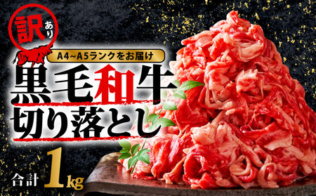 黒毛和牛 切り落とし 1kg 牛肉 小分け切り落とし 訳あり 牛肉切り落とし 牛肉 切り落とし 切り落とし