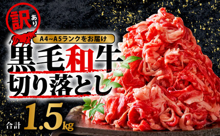 黒毛和牛 切り落とし 1.5kg 牛肉 訳あり 和牛 OR FN-SupportProject OR 増量 年末企画 訳あり FN-SupportProject 増量 年末企画 -