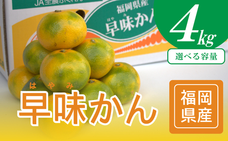 【2026年9月中旬から下旬にかけて順次発送】福岡ブランドみかん・早味かん約4kg NGK005