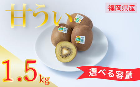 【先行予約】【2026年10月下旬から11月末発送】福岡限定!ブランドキウイ「甘うぃ(あまうぃ)」約1.5kg箱(12-15玉) NGK002_z