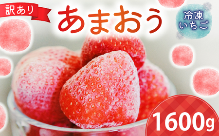 訳あり 冷凍いちご1600g いちご スイーツ あまおう 冷凍スイーツ 苺スイーツ 人気スイーツ