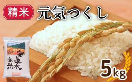 元気つくし 精米 5kg (福岡県認定地域資源) 米 5kg 人気 ブランド米 福岡県産米 産地直送 お米 おこめ こめ ゴハン メシ 飯 夕ご飯 美味しいご飯 米 白米 ライス ごはん 主食 防災 備蓄 福岡 川崎 DEI013_y