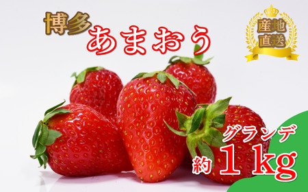 [4月まで発送]グランデ あまおう 約270g×4p いちご いちご いちご いちご イチゴ