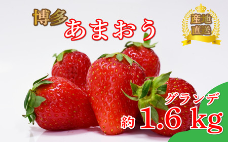 【4月まで発送】グランデ あまおう 約270ｇ×6p いちご｜イチゴ SBS