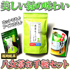 福岡銘茶八女茶 急須要らずのお手軽セット(便利なチャック付) 川崎町