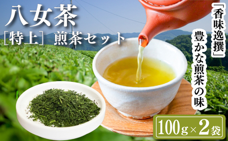八女茶 [特上]煎茶セット 100g×2袋