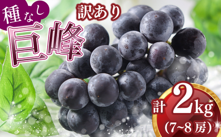 [ 8月中旬から順次発送 ]訳あり 種なし 巨峰 2kg 箱詰め ぶどう ぶどう ぶどう ぶどう ぶどう