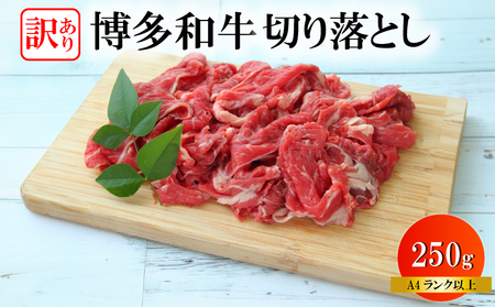 博多和牛切り落とし 訳あり OR FN-SupportProject OR 増量 OR 年末企画 KMR