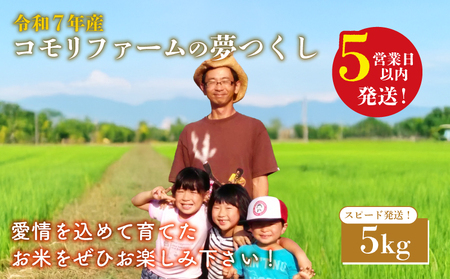 米 令和7年産 精米 スピード発送 5kg |KMF