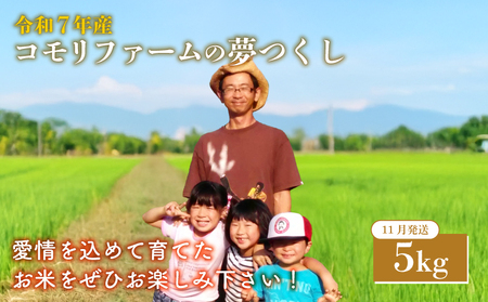 米 令和7年産 精米 11月発送 5kg |KMF