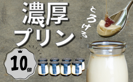 JX^[hv10Zbg bv Ȃ߂炩v TEM