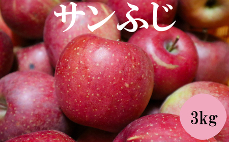 サンふじ 3kg( 川崎町産 )|りんご 林檎 福岡県川崎町 SKK