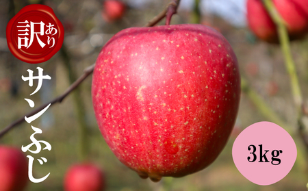 [訳アリ! ]サンふじ 3kg( 川崎町産 )|りんご 林檎
