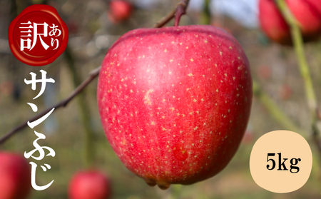 【訳アリ！ 】サンふじ 5kg（ 川崎町産 ）|りんご 林檎