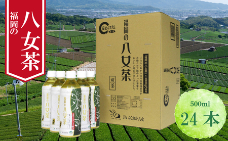 八女茶 煎茶ペットボトル 500ml×24本| お茶 清涼飲料水 SWE