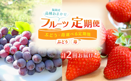 [先行予約] フルーツ定期便 2回 ぶどう あまおう FRTT